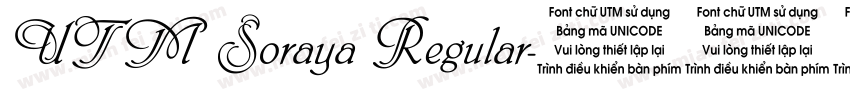 UTM Soraya Regular字体转换